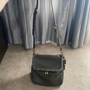 Coach Rider with Exotic Detail